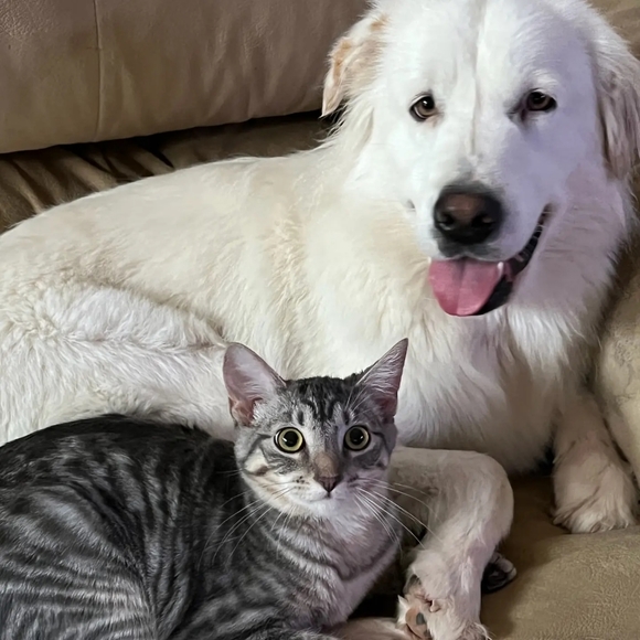 CLOSET LIQUIDATION SALE !!!@@@ - Picture 14 of 14